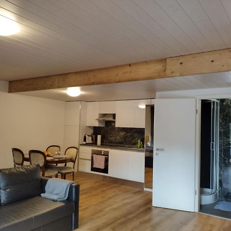 Spacieux Studio 38M2 Les Paccots Exterior foto