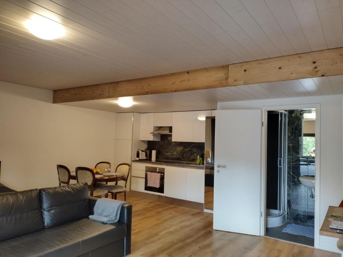 Spacieux Studio 38M2 Les Paccots Exterior foto